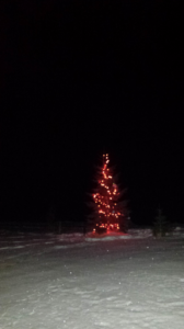 A lit christmas tree at night in the snow