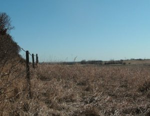 Springtime on the Hepburn homestead