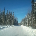 Winter Ice road through forested northern muskeg