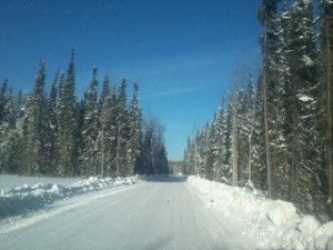 Winter Ice road through forested northern muskeg